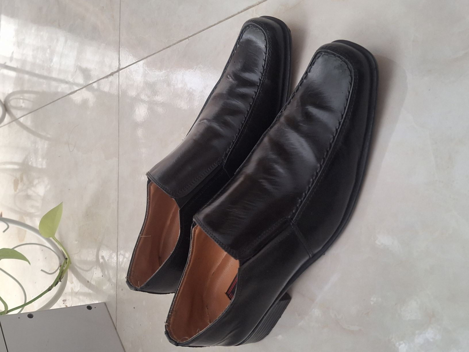 کفش چرم اصل گاوی